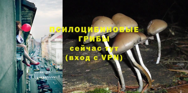 дурь Алзамай