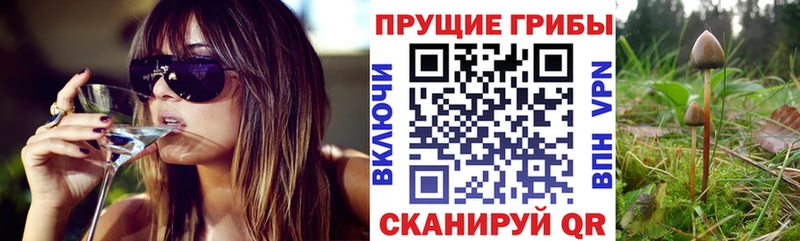 Псилоцибиновые грибы Psilocybine cubensis  где можно купить наркотик  Павлово 